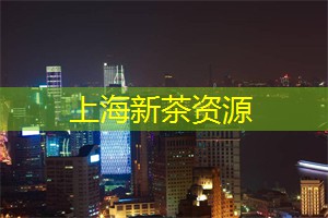 上海社交平台有哪些