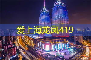 了解上海的社区文化活动